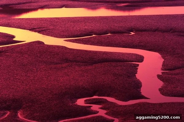 ag电子俱乐部：复式投注进阶指南——科学选号与资金管控全解析