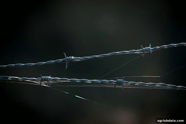 账号遭遇异常？ag电子俱乐部提醒：信息保护与流水处理刻不容缓
