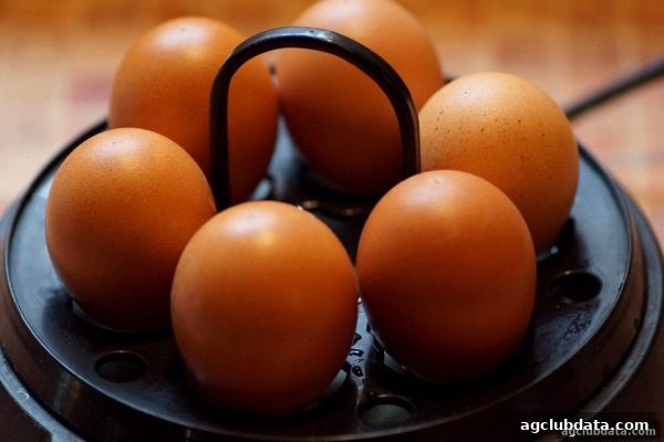ag电子俱乐部深度解析：真人水果机游戏在线版与离线单机版的差异对比